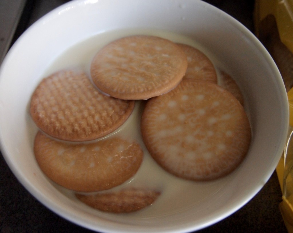 Chocolate Biscuit Pudding